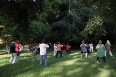 QGL20245
